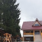 Pensiunea Cipri Belis