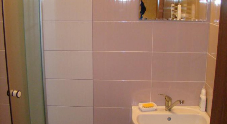 Pensiunea La Pescarie Balcesti (Belis)